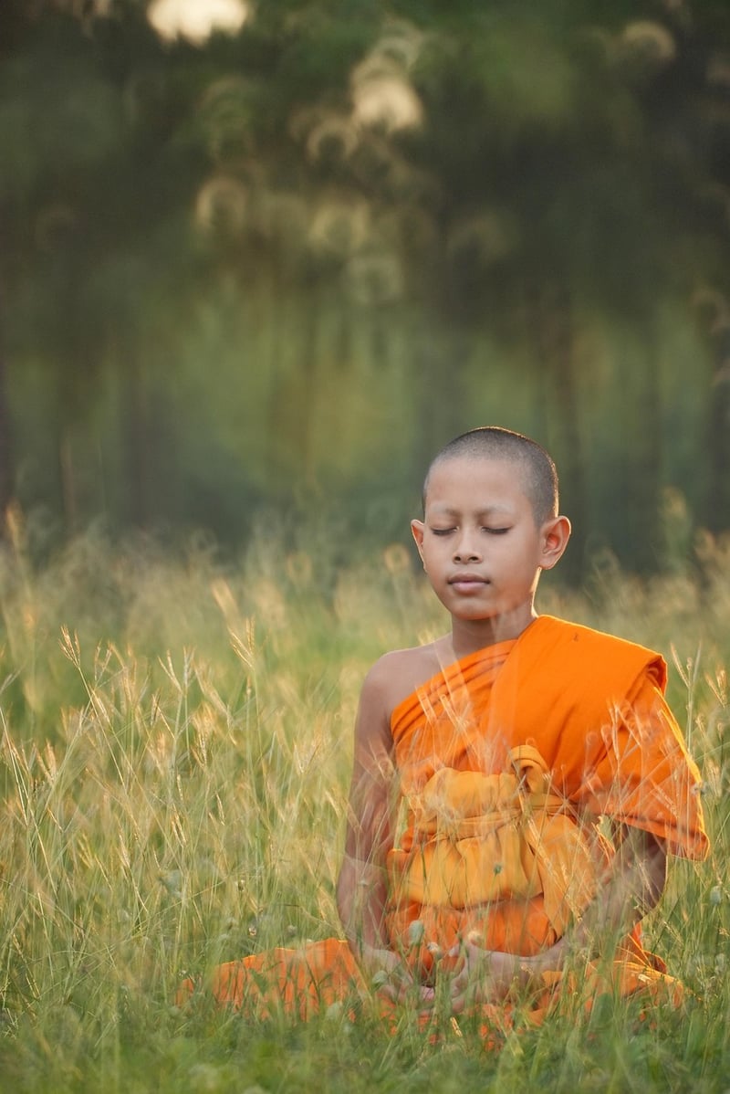Meditation Oasis 2
